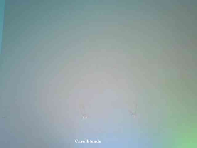 Carolblonde