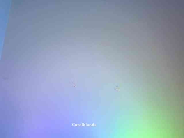 Carolblonde