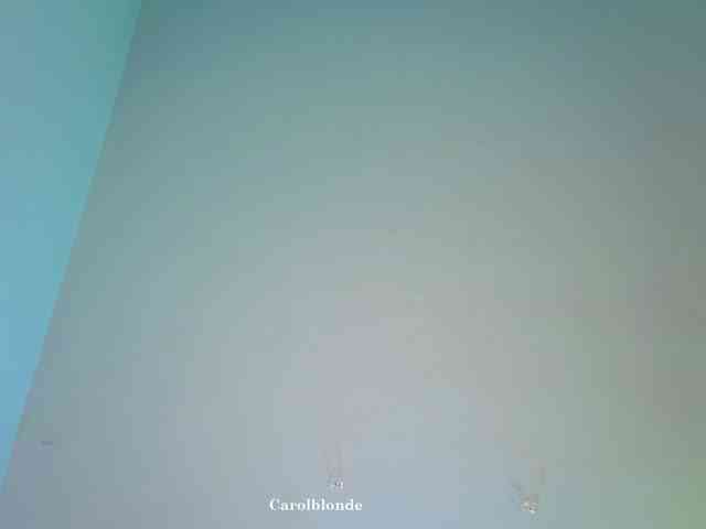 Carolblonde webcam