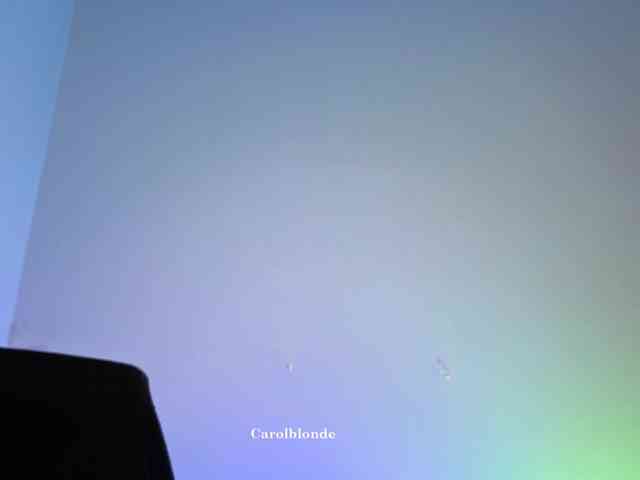 Carolblonde webcam