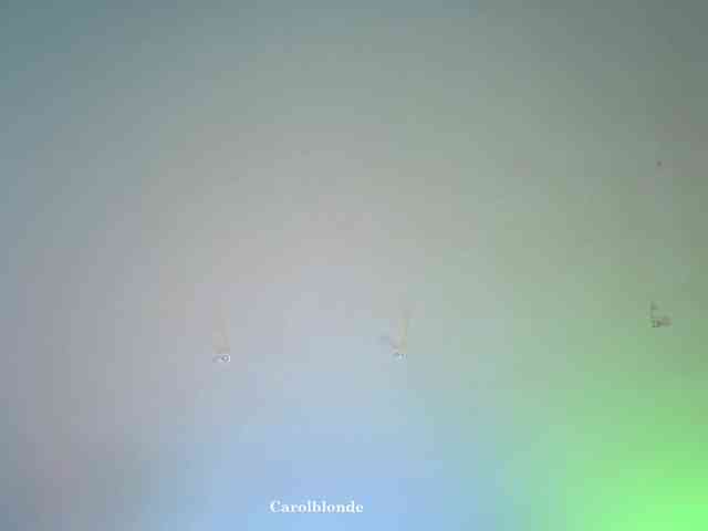 Carolblonde