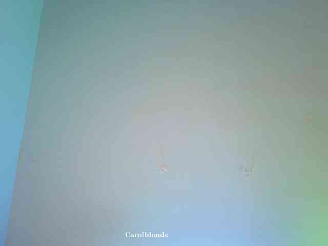 Carolblonde