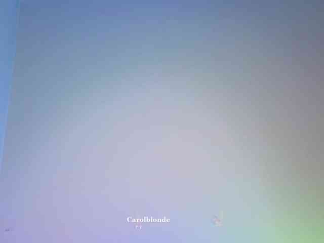 Carolblonde