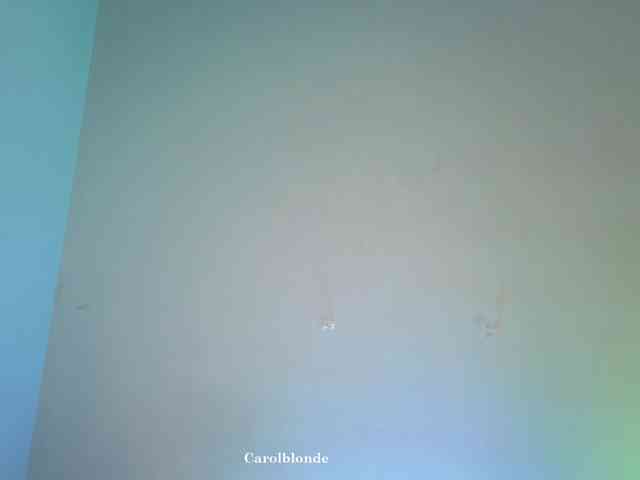 Carolblonde