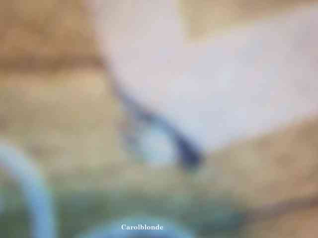Carolblonde