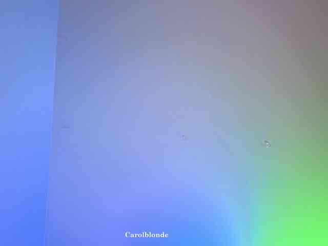 Carolblonde