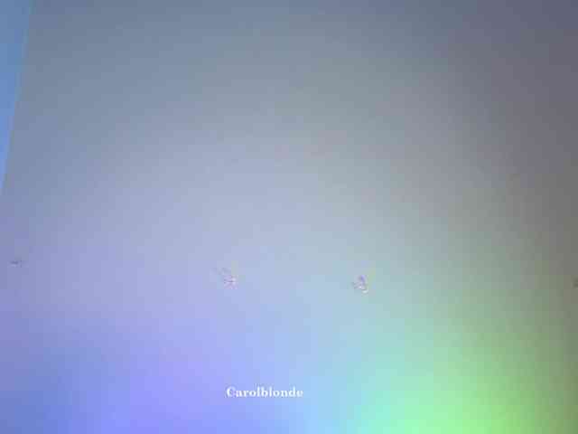 Carolblonde