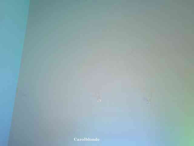 Carolblonde