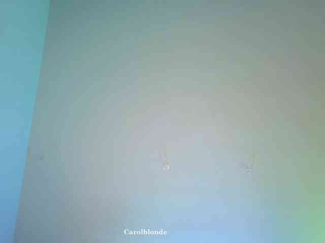 Carolblonde