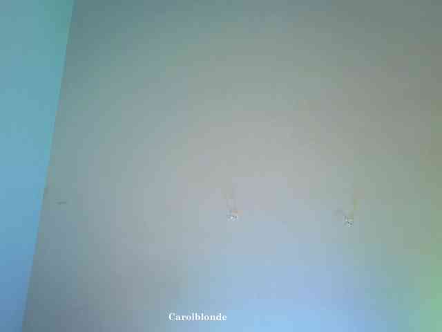 Carolblonde
