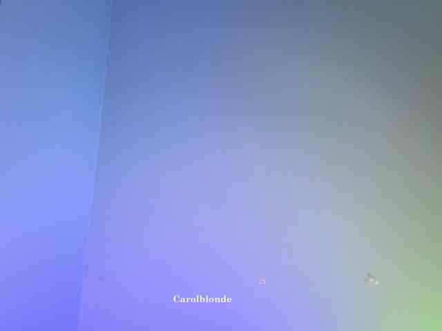 Carolblonde