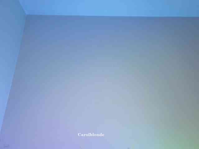 Carolblonde webcam