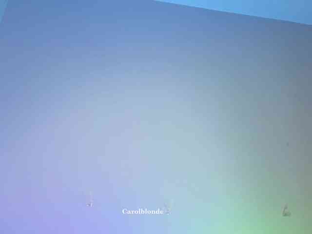 Carolblonde