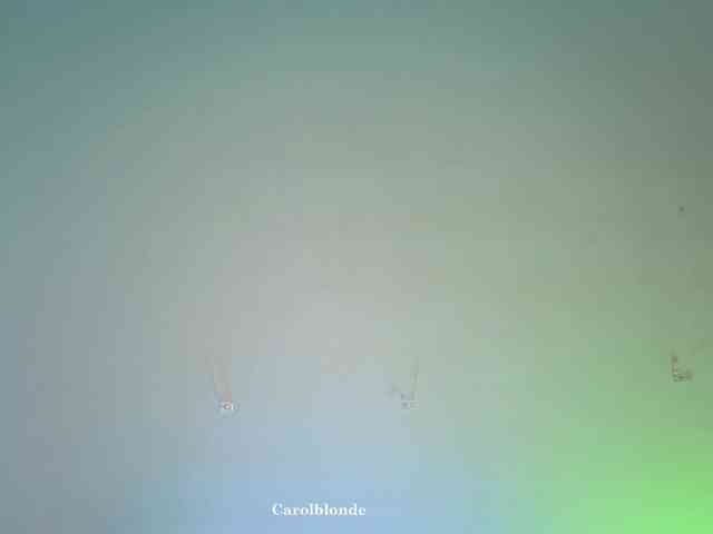 Carolblonde