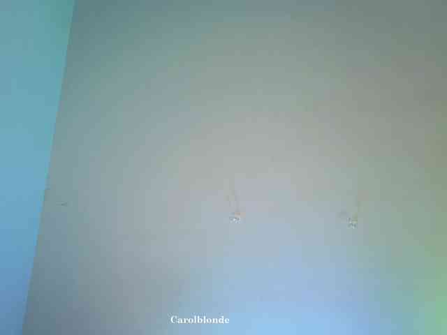 Carolblonde