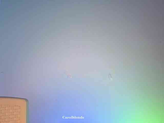 Carolblonde