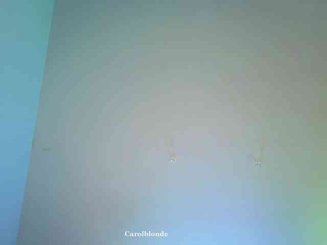 Carolblonde
