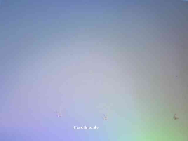 Carolblonde webcam