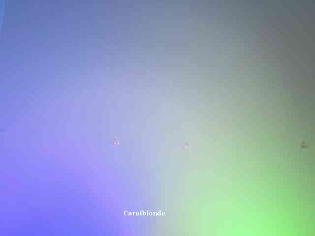 Carolblonde