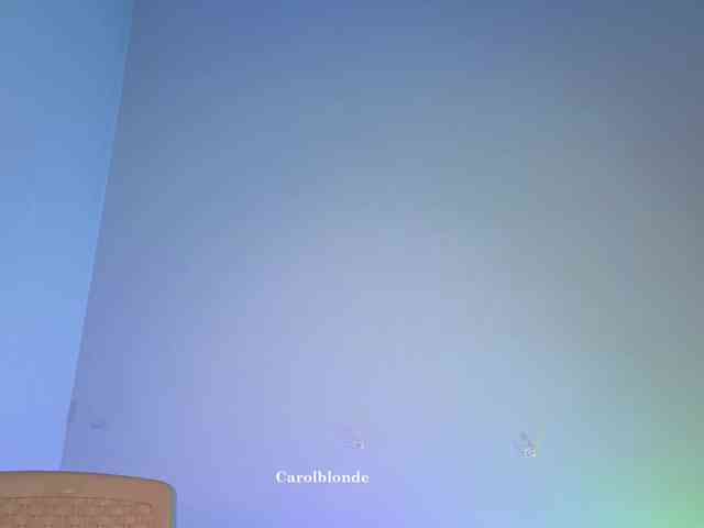 Carolblonde webcam