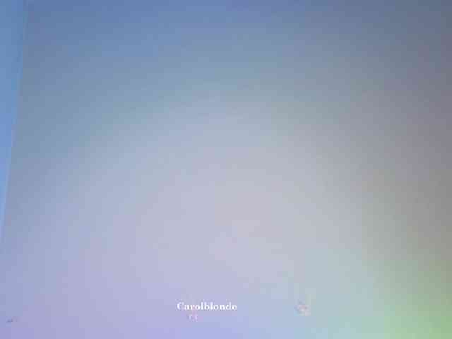Carolblonde