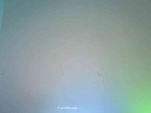 Carolblonde