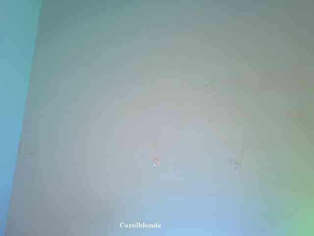 Carolblonde