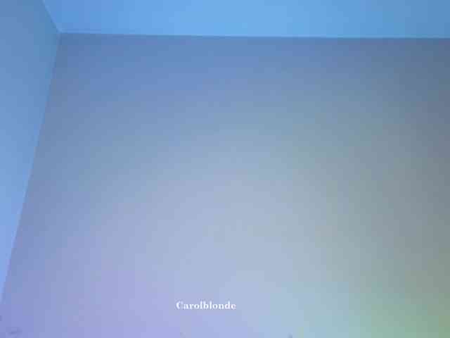 Carolblonde webcam