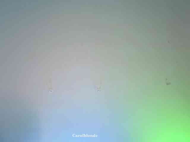 Carolblonde
