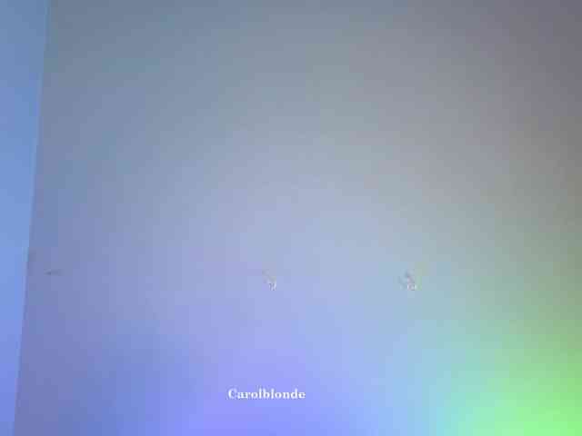 Carolblonde webcam