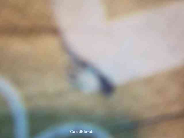 Carolblonde