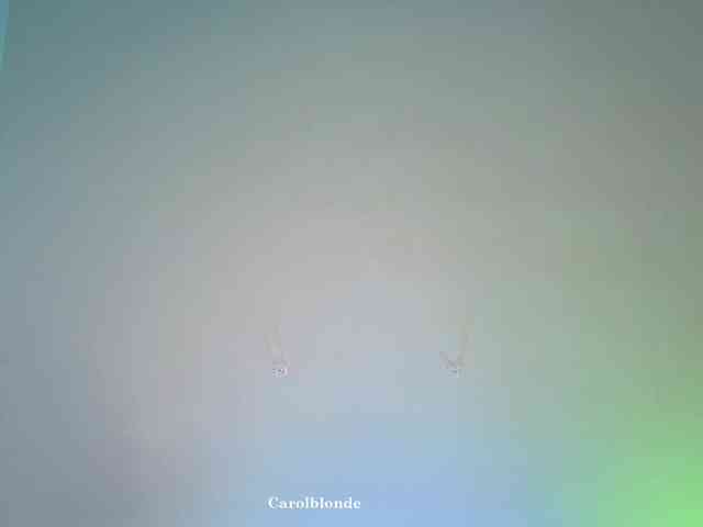 Carolblonde