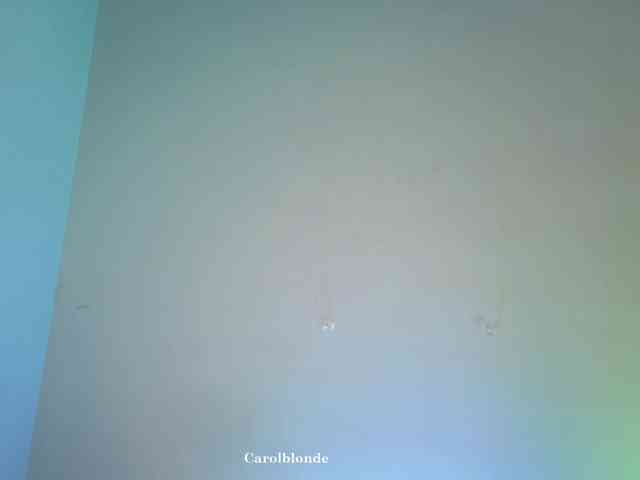 Carolblonde