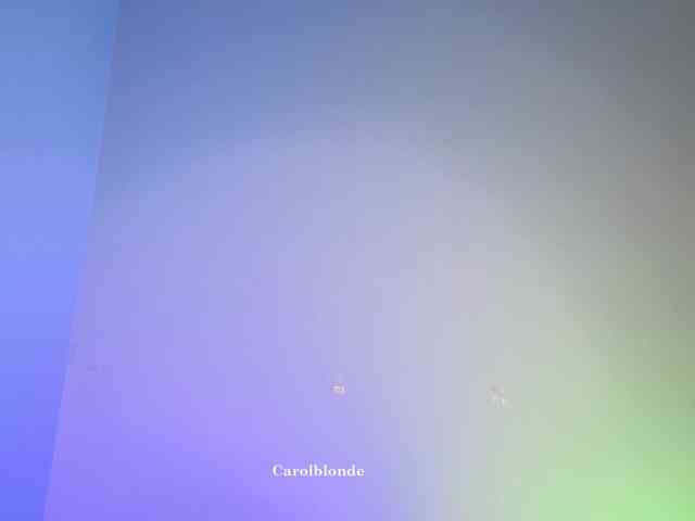Carolblonde