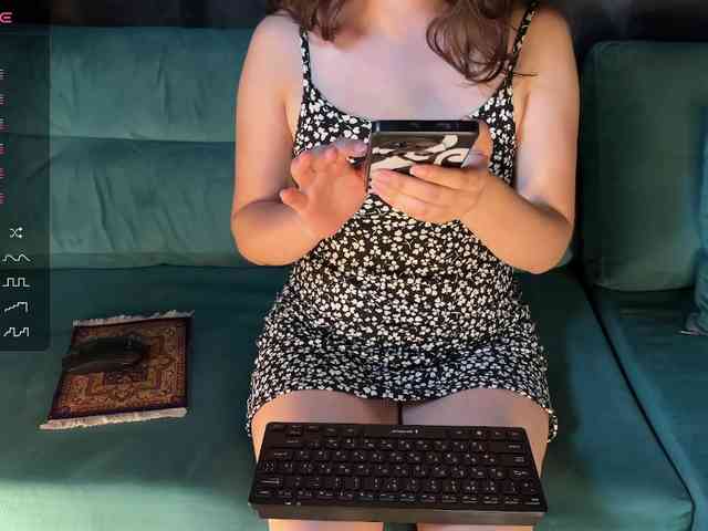 EvaSteels webcam