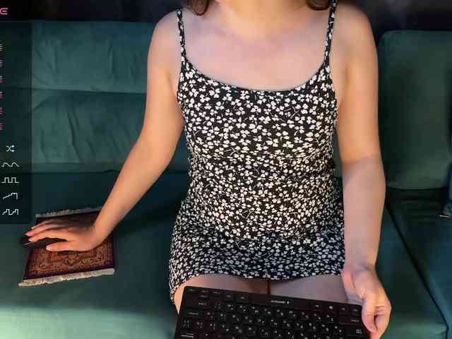 EvaSteels webcam