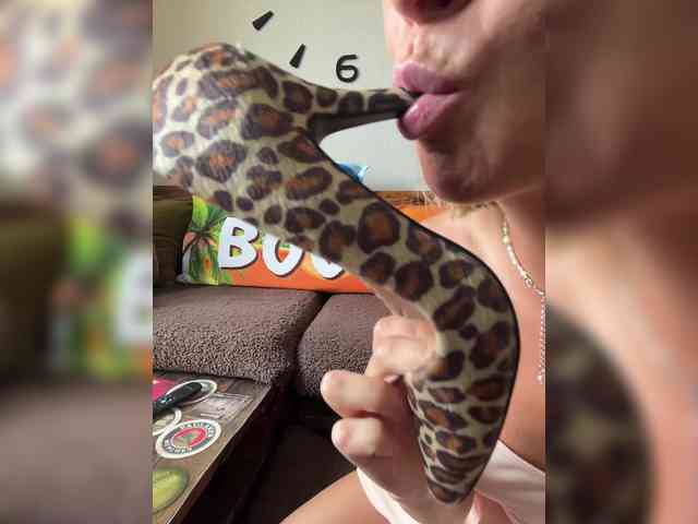 HARIZZMA webcam
