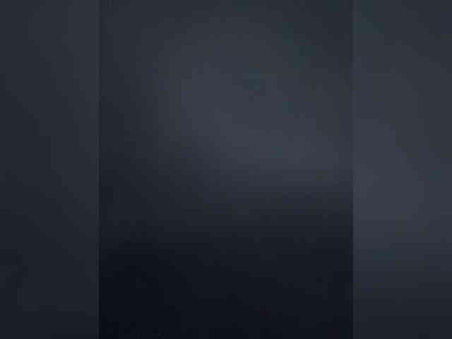 HARIZZMA webcam