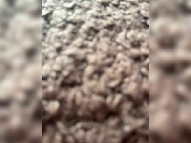 HARIZZMA Sex Cam Show