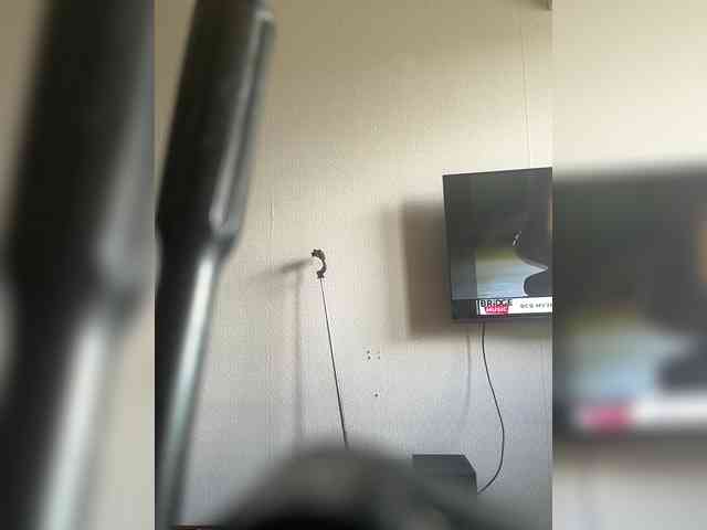 harizzma's live room