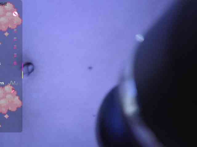 Lesliee22 webcam