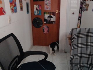 NanaBela Porn Show