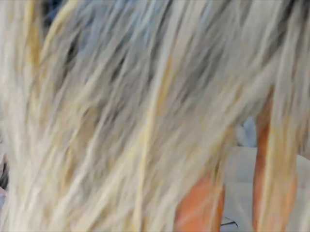 AnnesWhite
