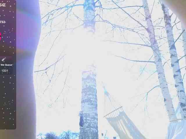 Модель: misss-vikki