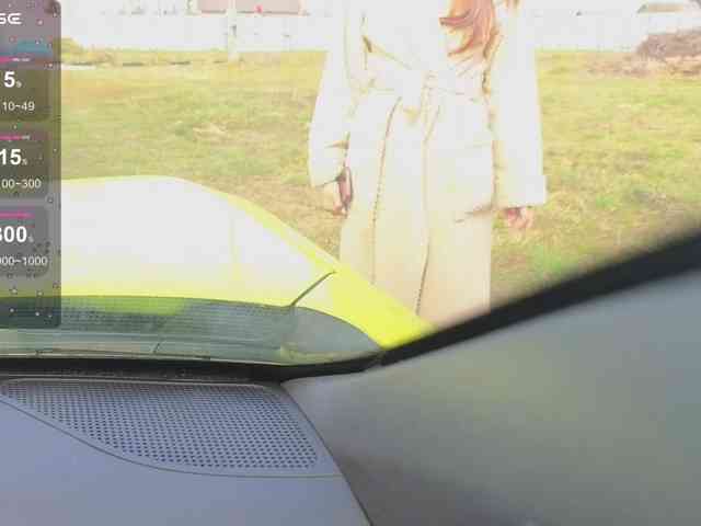 misss-vikki webcam