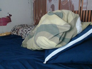 lexianna818 Porn Show