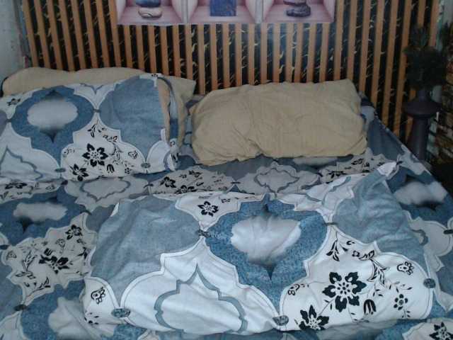 lexianna818's BongaCams show and profile