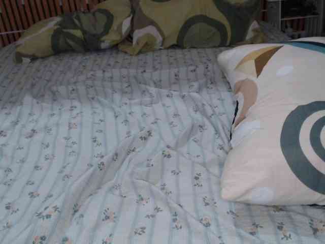 lexianna818 webcam