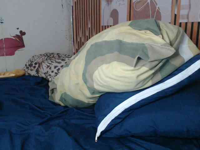 lexianna818 webcam