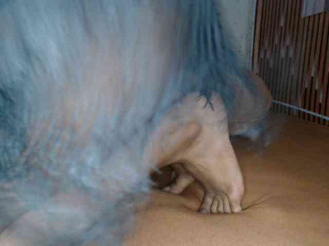 lexianna818 webcam